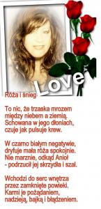 rozaisnieg.jpg