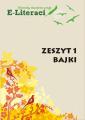 okadka do zeszytu 1
