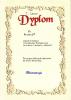 Dyplom dla AnastazjiM