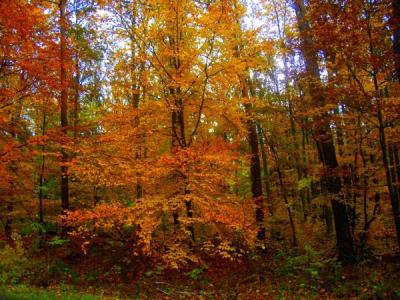100_4068.jpg