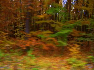 100_4072.jpg