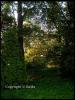 Zacisze