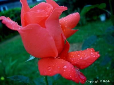 100_4789.jpg
