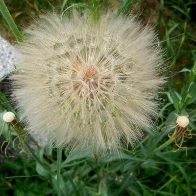 100_5050.jpg