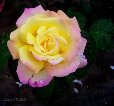 100_5183.jpg