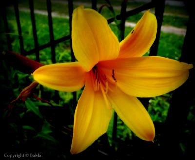 dscf8405.jpg