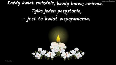 kwiat-wspomnienia.jpg