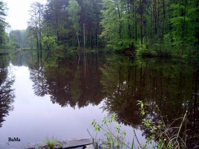 natura2.jpg