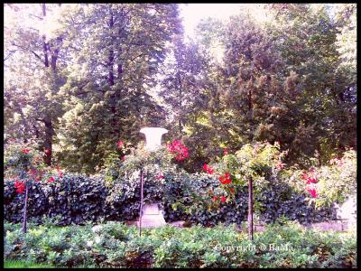 100_4024.jpg