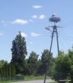 bocianowo