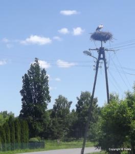 1-dscf8546.jpg