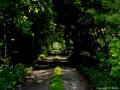 tunel ycia