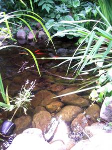100_4891.jpg