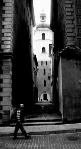 100_5113.jpg