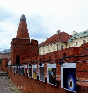 100_5130.jpg
