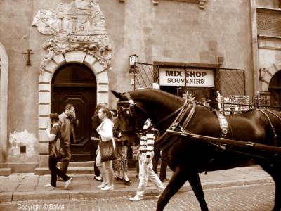100_5140.jpg