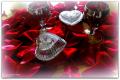 dscf4767_t1.jpg