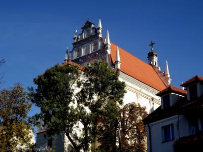 dscf6196.jpg