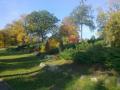 Park