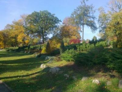 park.jpg